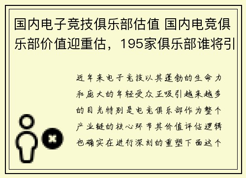 国内电子竞技俱乐部估值 国内电竞俱乐部价值迎重估，195家俱乐部谁将引领资本新浪潮？